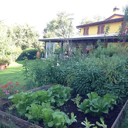 Agroturismo Borgo Nuovo Di Mulinelli