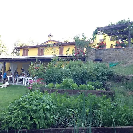 Borgo Nuovo Di Mulinelli Arezzo